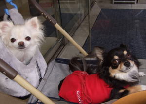 2007.02.25-1.jpg