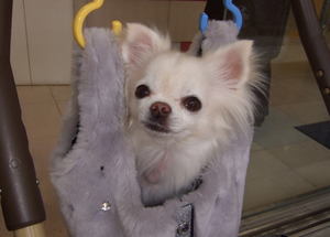 2007.02.25-2.jpg