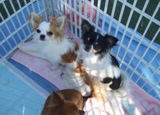 2007.11.04-2.jpg