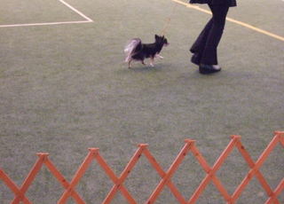 2007.11.04-4.jpg