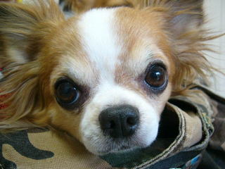 2007.12.02-1.jpg